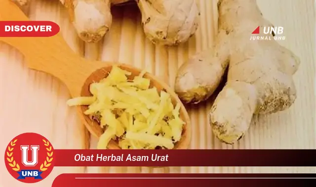 obat herbal asam urat