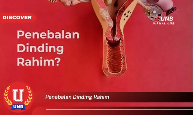 penebalan dinding rahim