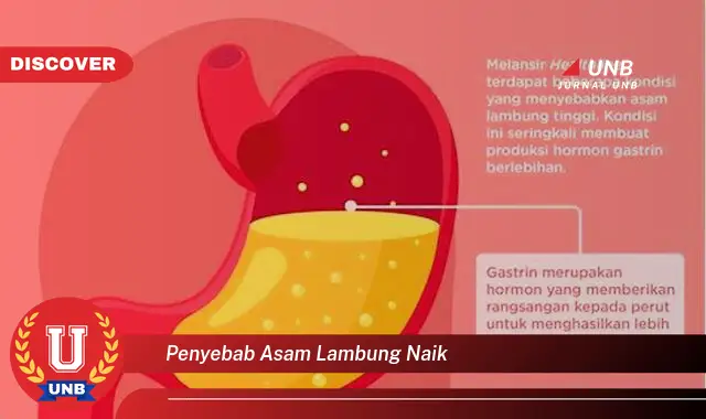 penyebab asam lambung naik