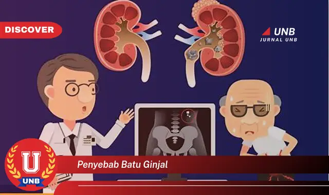 penyebab batu ginjal penyebab batu ginjal