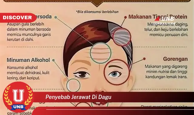 penyebab jerawat di dagu