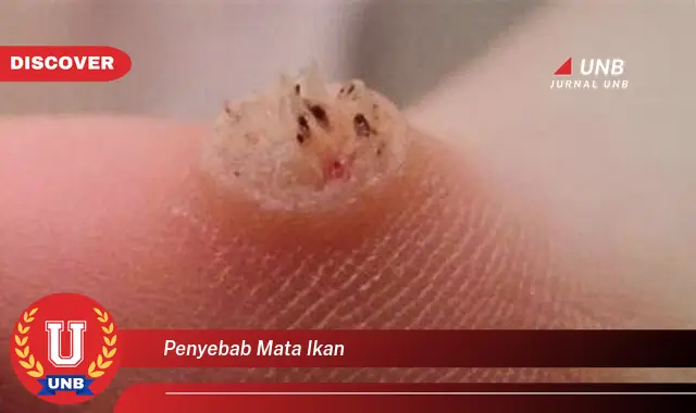 penyebab mata ikan