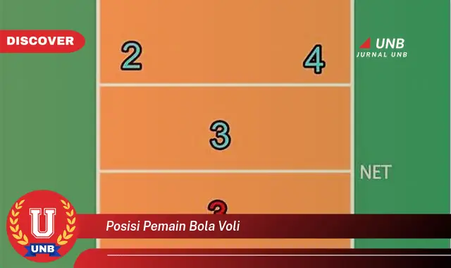 posisi pemain bola voli