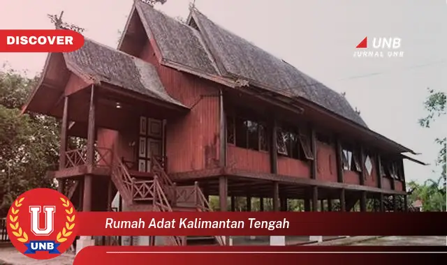 rumah adat kalimantan tengah