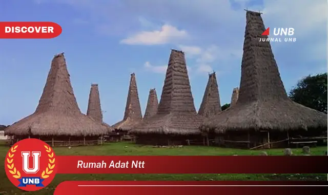 rumah adat ntt