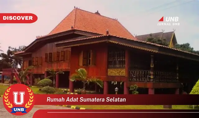 rumah adat sumatera selatan