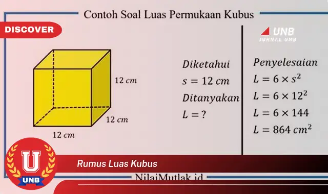 rumus luas kubus