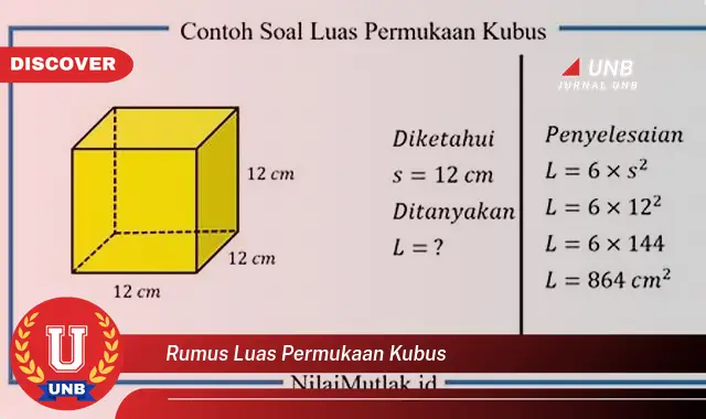 rumus luas permukaan kubus