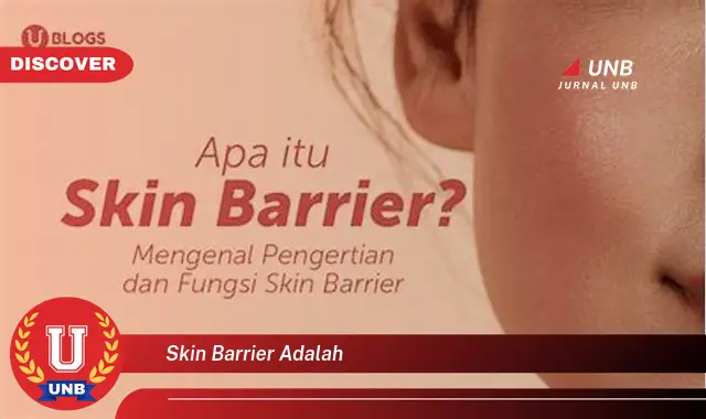 skin barrier adalah