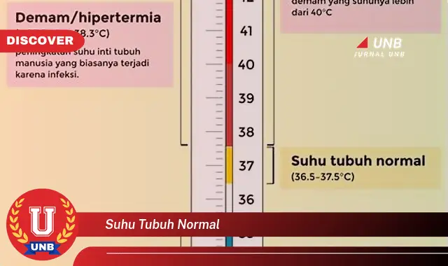 suhu tubuh normal