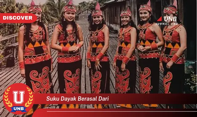 suku dayak berasal dari