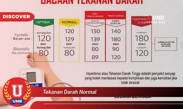 tekanan darah normal