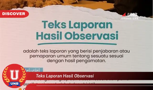 teks laporan hasil observasi