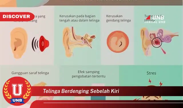 telinga berdenging sebelah kiri