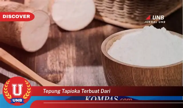 tepung tapioka terbuat dari