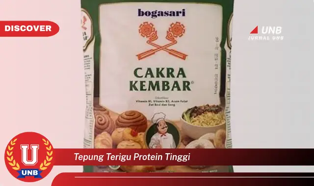 tepung terigu protein tinggi