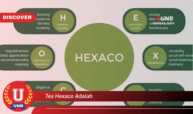 tes hexaco adalah