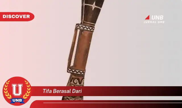 tifa berasal dari