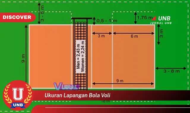 ukuran lapangan bola voli