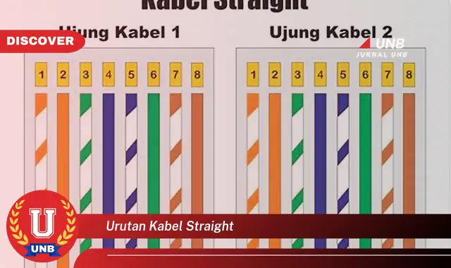 Ketahui Urutan Kabel Straight yang Bikin Kamu Penasaran