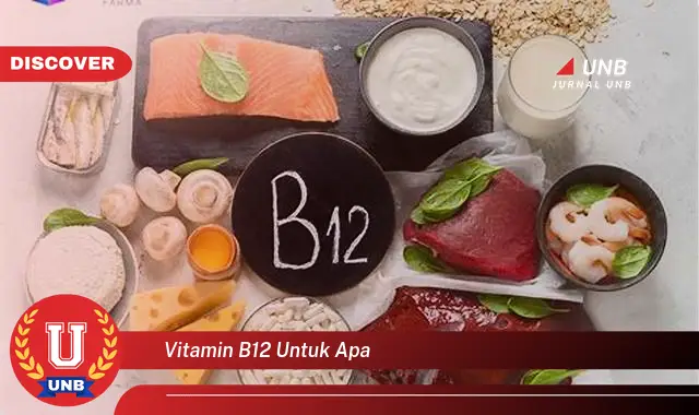 vitamin b12 untuk apa