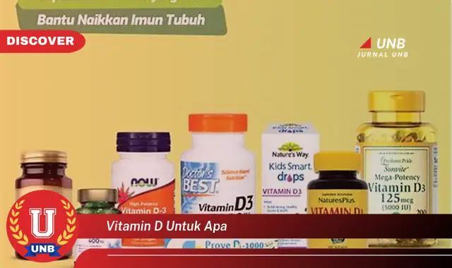 vitamin d untuk apa