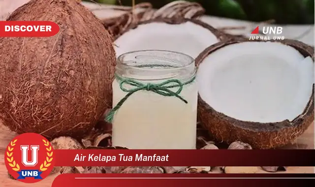 air kelapa tua manfaat