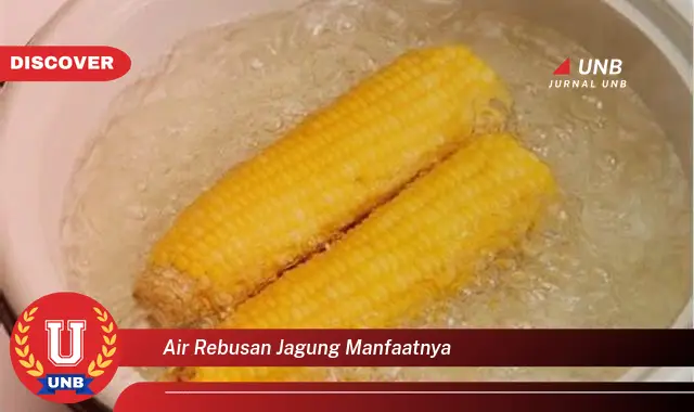 air rebusan jagung manfaatnya