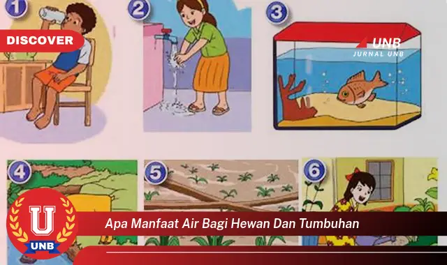 apa manfaat air bagi hewan dan tumbuhan