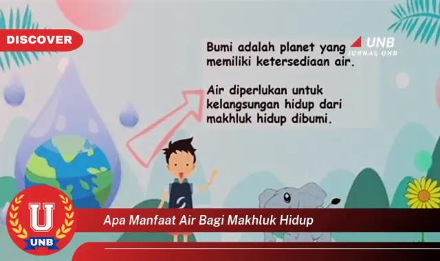 apa manfaat air bagi makhluk hidup