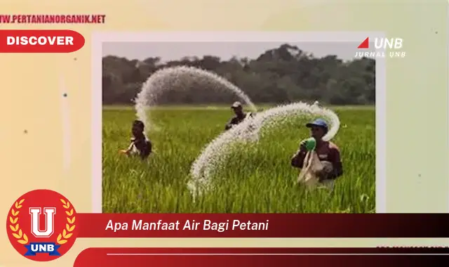 apa manfaat air bagi petani