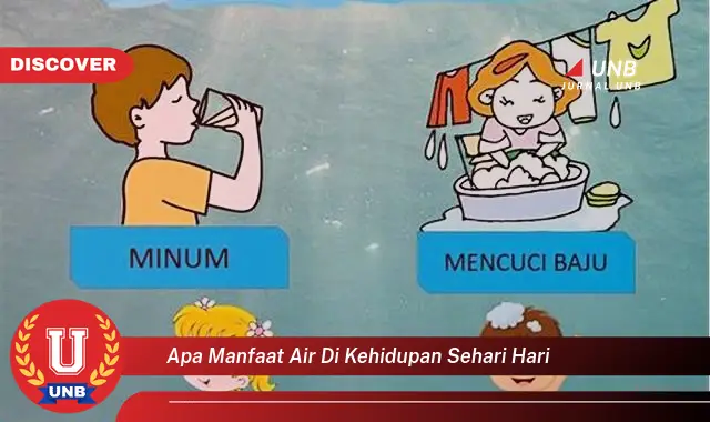 apa manfaat air di kehidupan sehari hari