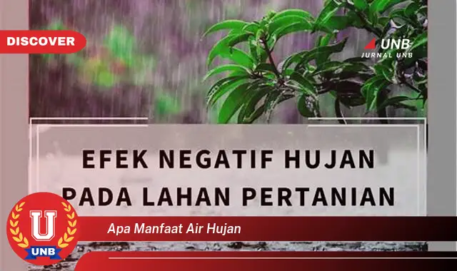 apa manfaat air hujan