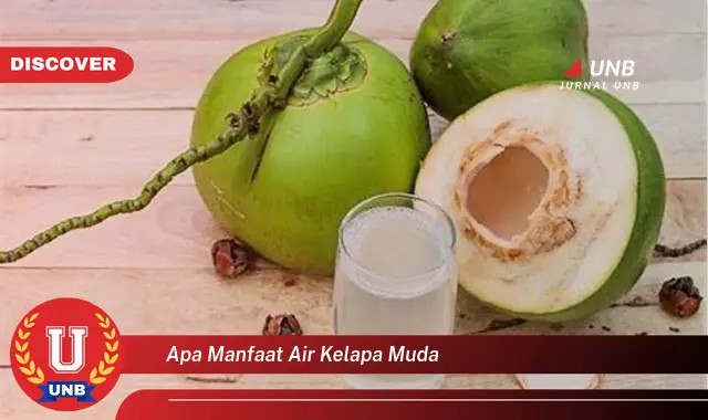 apa manfaat air kelapa muda