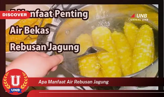 apa manfaat air rebusan jagung