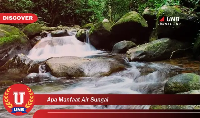 apa manfaat air sungai