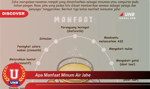 apa manfaat minum air jahe