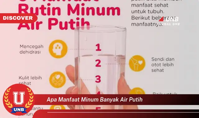 apa manfaat minum banyak air putih