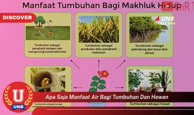 apa saja manfaat air bagi tumbuhan dan hewan