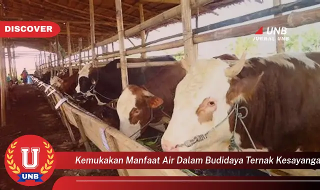 kemukakan manfaat air dalam budidaya ternak kesayangan