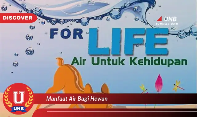 Banyak yang Belum Tau, Ini dia 15 Manfaat Air Bagi Hewan yang Bikin Penasaran