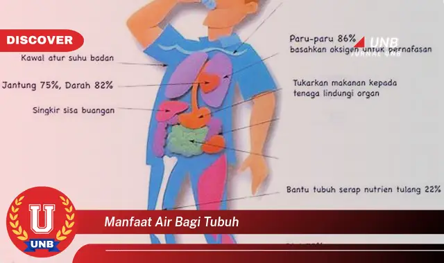 manfaat air bagi tubuh