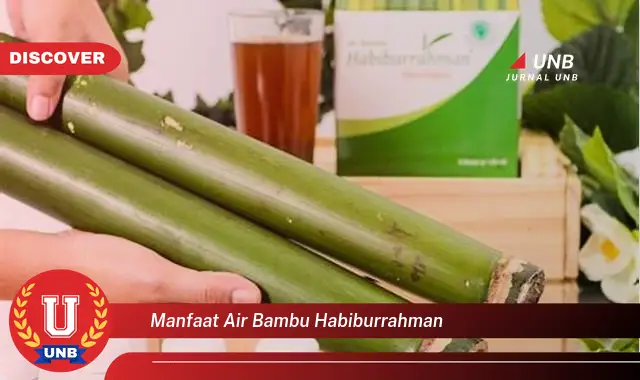 manfaat air bambu habiburrahman