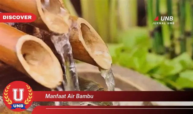 manfaat air bambu