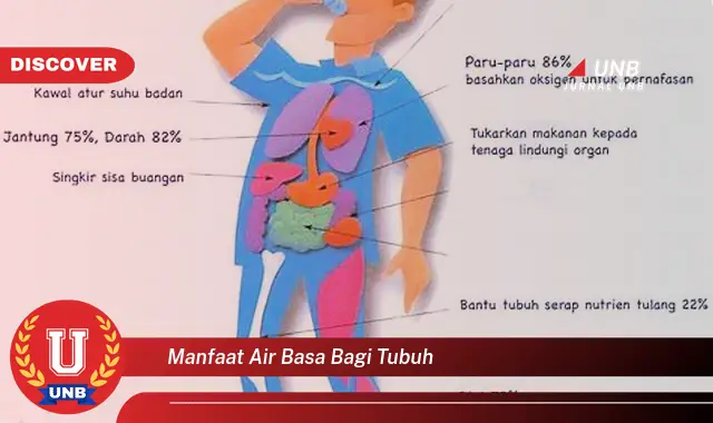 manfaat air basa bagi tubuh