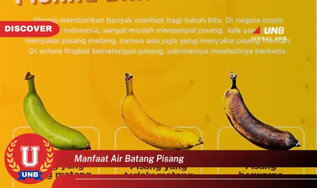 manfaat air batang pisang