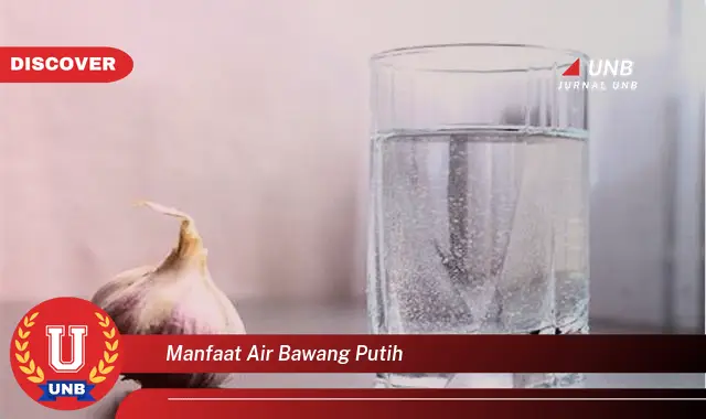 manfaat air bawang putih