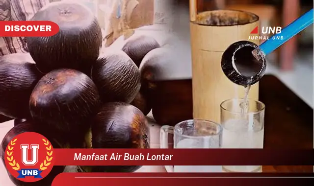 manfaat air buah lontar