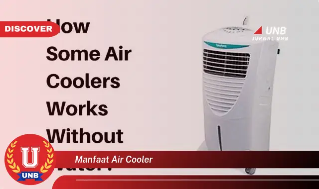 manfaat air cooler