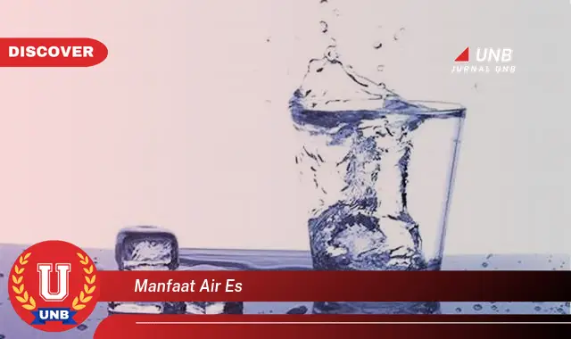 manfaat air es manfaat air es